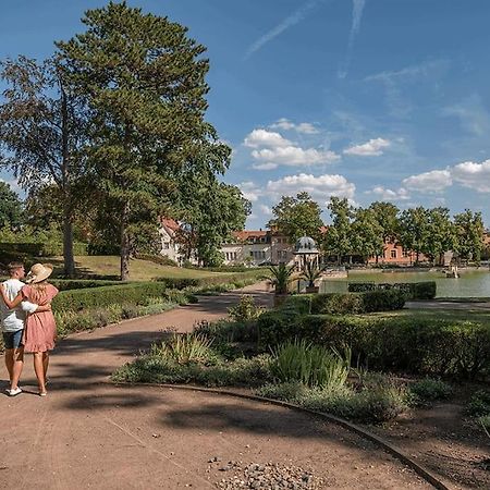 Traumhafte Auszeit Appartement Bad Lauchstädt Buitenkant foto